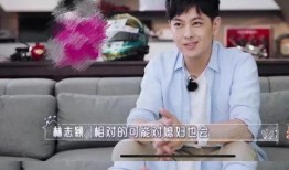 林志颖最近爆料视频播放,揭秘娱乐圈不为人知的一面